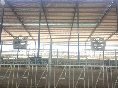 杰諾賽科龍式牛舍風(fēng)機(jī)