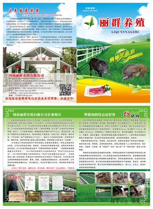 綠色養(yǎng)殖行業(yè)企業(yè)宣傳畫冊印刷